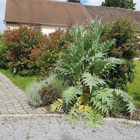 Les 7 tilleuls - Gîte Mesland Extérieur photo