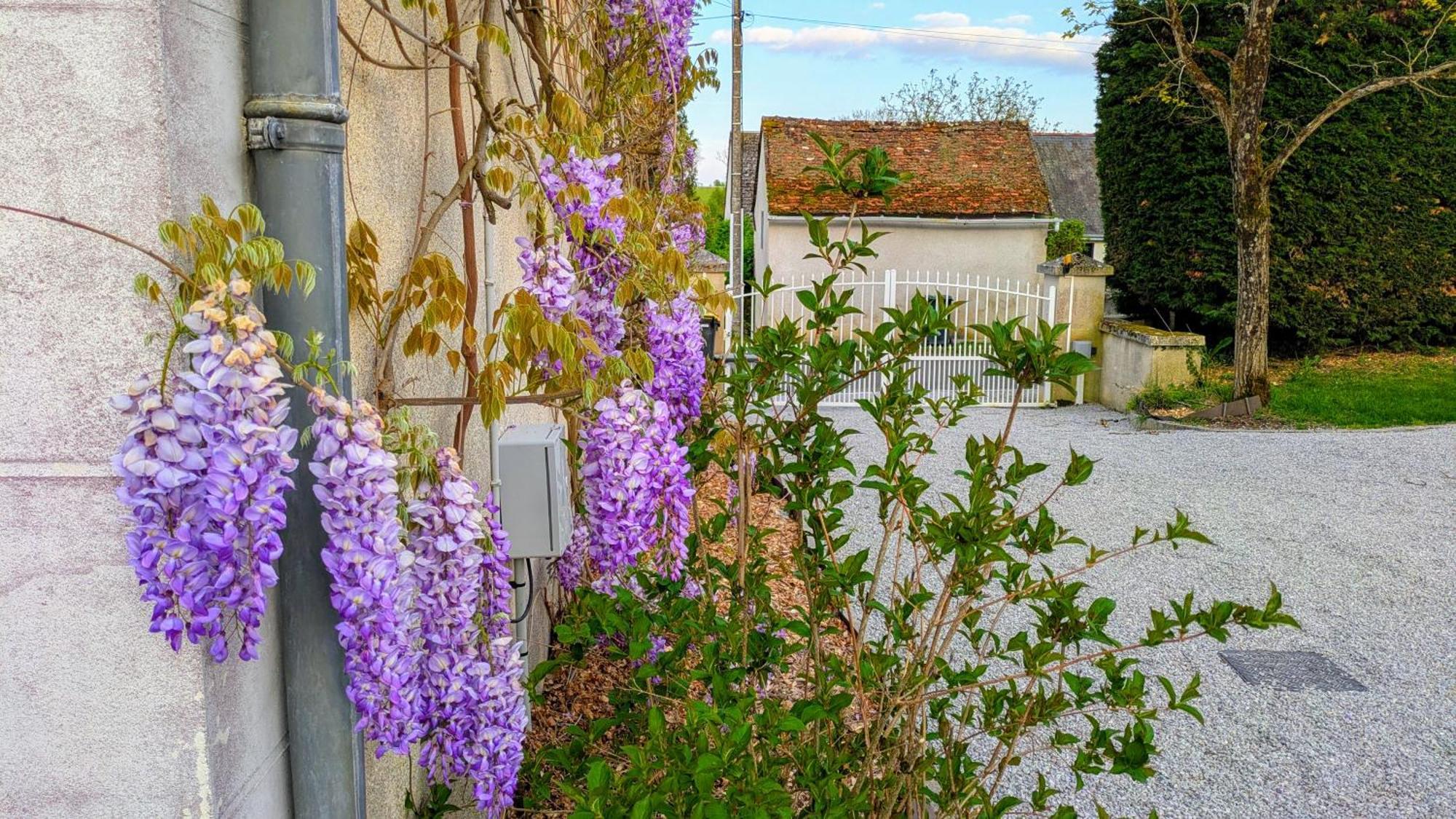 Les 7 tilleuls - Gîte Mesland Extérieur photo
