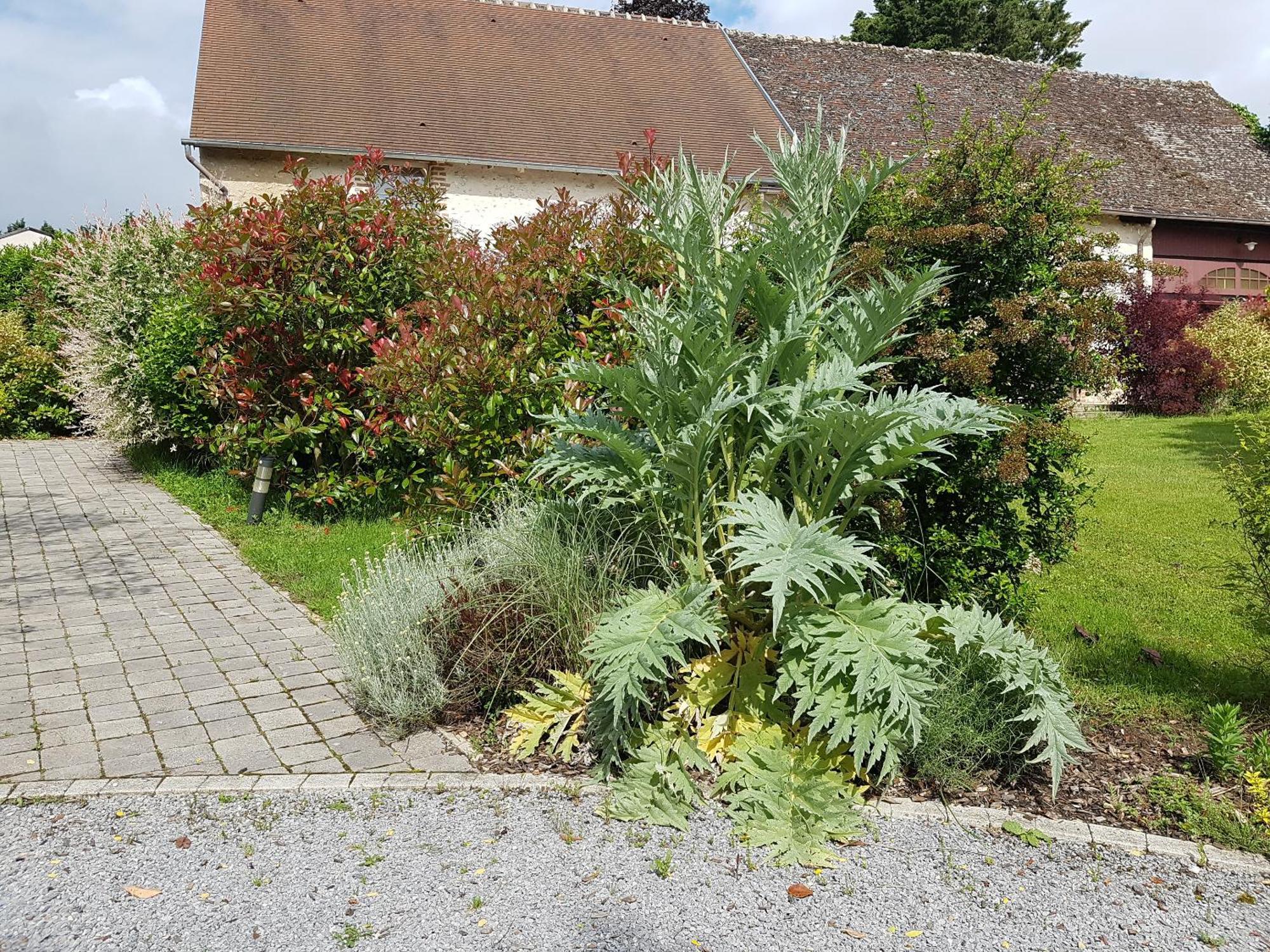 Les 7 tilleuls - Gîte Mesland Extérieur photo